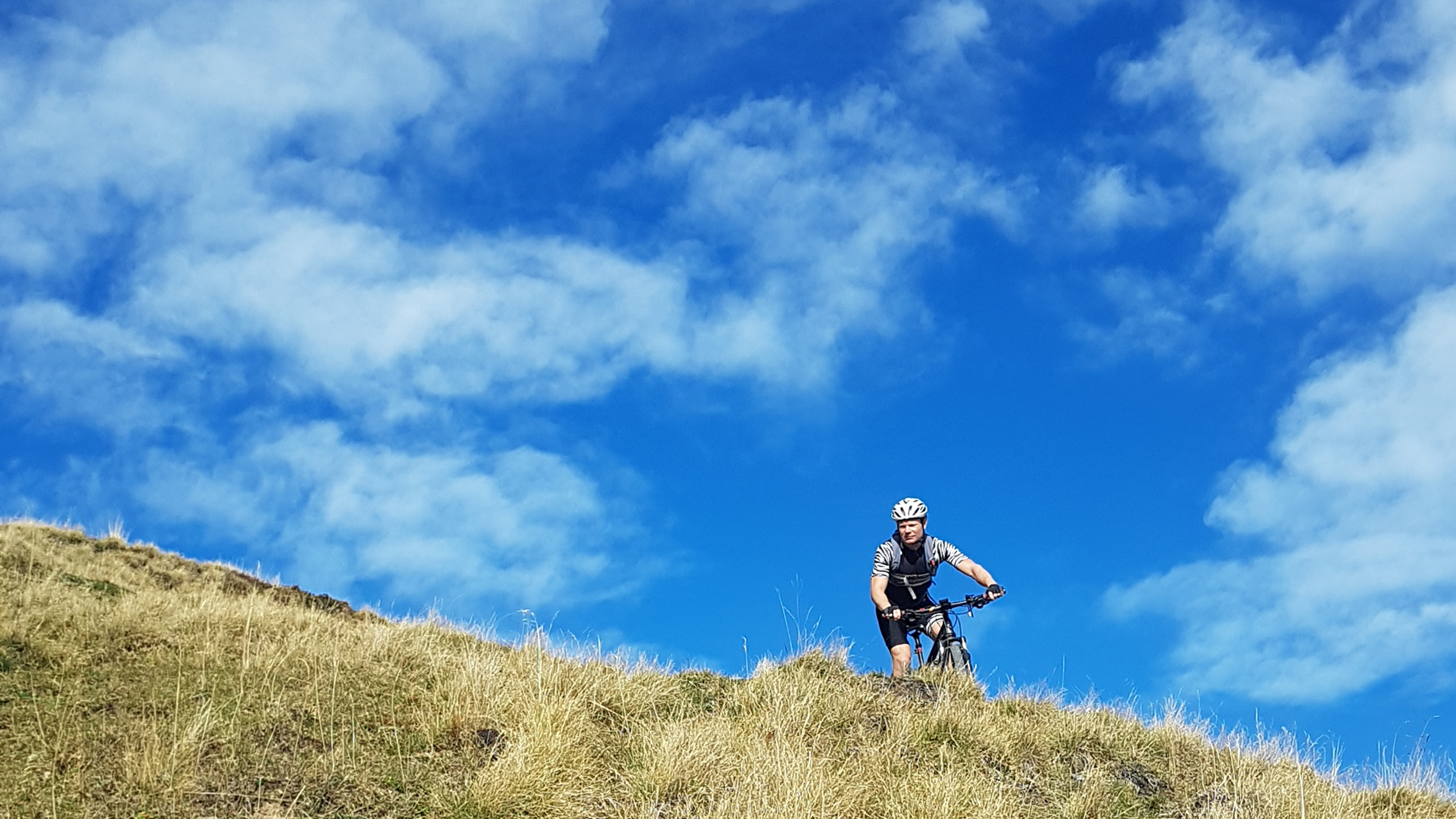 Sommerlandschaft